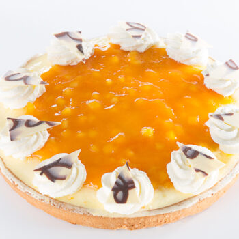 Mango Abrikozen Bavarois vlaai